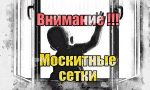 Силовики напомнили орловцам об иллюзии безопасности москитных сеток