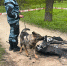«Спасское-Лутовиново» признали безопасным после атаки БПЛА - OrelGrad.Ru