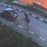 Орловцам рекомендовали не приближаться к лосям - OrelGrad.Ru