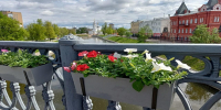 Александровский мост в Орле готов утонуть в цветах - Орловский Вестник