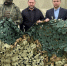 Из Орла на СВО отправили летние маскировочные сети - OrelGrad.Ru