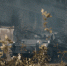 сериал - OrelTimes.Ru