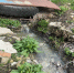 Директора МУПа оштрафовали за сточные воды на почве - OrelGrad.Ru
