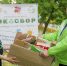 В Орловской области экологический проект объединяет людей на добрые дела - Комсомольская Правда