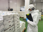 Под контролем Россельхознадзора Курский мясоперерабатывающий завод начал экспортировать продукцию в Азербайджан