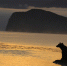_ATT5200 - OrelTimes.Ru