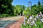 // Фото пресс-службы Губернатора Орловской области
