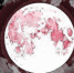 «Клубничная» Луна 11 июня ознаменует сезон сбора ягод - OrelTimes.Ru