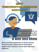 Виртуальный помощник поможет узнать гражданам информацию о долгах