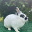 5lhwbDl9OiE - OrelTimes.Ru