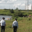 Почти 300 тяжких преступлений раскрыли в Орловской области - OrelGrad.Ru
