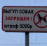 Чиновников обязали обустроить площадку для выгула животных - РИА 57