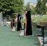 В Орле проведут фестиваль здорового образа жизни - OrelGrad.Ru