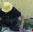Под Орлом начали воспитывать «управляемых городских собак» - OrelGrad.Ru