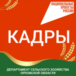 Профессиональное обучение и дополнительное проф. образование в рамках национального проекта «Кадры»