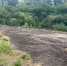 IMG-20250723-WA0002 - OrelTimes.Ru