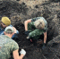 Орловские поисковики подняли останки шести бойцов РККА - Орловский Вестник