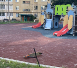 В полиции рассказали о наезде мотоцикла на юную самокатчицу