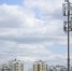 Орловские абоненты Билайн проговорили 10 млн минут через VoWiFi за год - Комсомольская Правда