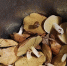 грибы (6) - OrelTimes.Ru