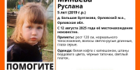 На Орловщине ищут пятилетнюю девочку - vOrle.Ru