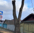 В Орле на улице Энгельса всё же могут обновить тротуары - OrelGrad.Ru