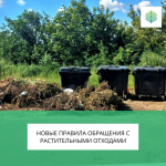Новые правила обращения с ТКО: запрет на выброс веток и растительных отходов на контейнерные площадки