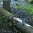 2025-08-20_15-44-37 - OrelTimes.Ru