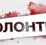 Орловцам на выборах в горсовет помогут волонтёры - OrelTimes.Ru