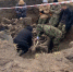 На Вологодчине обнаружили останки красноармейца из Орловской области - Орловский Вестник