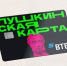 Где оформить ребенку Пушкинскую карту? - OrelTimes.Ru