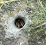 паук - OrelTimes.Ru