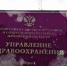 Клычков назвал «диверсией» работу депздрава по ЭКО - OrelTimes.Ru