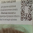 В Орле QR-коды с адресами укрытий не работают из-за отключения интернета - OrelTimes.Ru