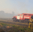 пожары травы 2 - OrelTimes.Ru