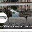 «На Фрейндлих проще попасть»: билетов в орловский театр снова нет - OrelTimes.Ru