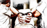 Орловская полиция поймала вора у знаменитых Девяти Дубов