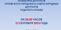Более 12% орловцев проголосовали на выборах в горсовет - Орловский Вестник