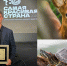 Орловский школьник победил на международном фотоконкурсе - Орловский Вестник
