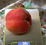 gthcbr - OrelTimes.Ru