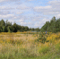 спорт (1)_1 - OrelTimes.Ru