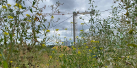 Власти готовы расторгнуть контракт на школу в Жилина - OrelGrad.Ru