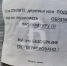 Орловцы взяли под защиту деревья на улице Максима Горького - Орловский Вестник