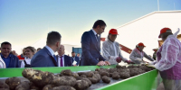 В Орловской области запустили крупный сельхозкомплекс - Комсомольская Правда