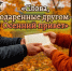 «Слова, подаренные другом-2. Осенний привет»
Встреча арт-клуба «СтихиЯ»
(12+) - Научная универсальная библиотека им. И.А. Бунина