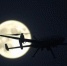 Над Орловской областью сбили два беспилотника - Орловский Вестник