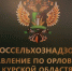 Россельхознадзор рассмотрел жалобу на орловскую шаурму - InfoOrel.Ru