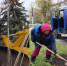 В Орле начали высаживать красные клены с Александровского моста - Орловский Вестник