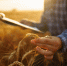 Дистанционное обучение по теме «Федеральные государственные информационные системы сельского хозяйства в 2025 году» - Департамент сельского хозяйства