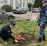 В Орле высадили памятную аллею к 160-летию института судебных приставов - УФССП